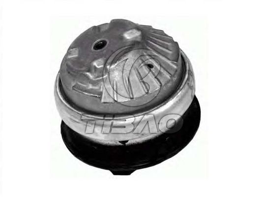 Mua 2032400317 Bộ phận động cơ Đèn động cơ cho Mercedes-Benz C-CLASS (W203) online manufacture