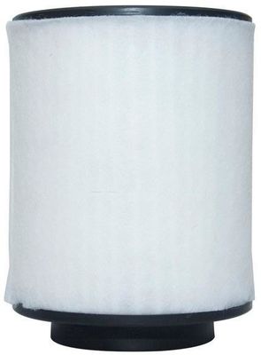 4H0129620L Bộ phận động cơ Bộ lọc không khí