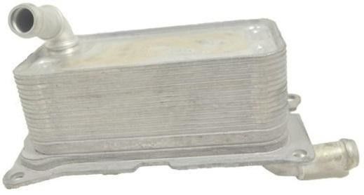 2465010501 Các bộ phận động cơ Máy làm mát dầu