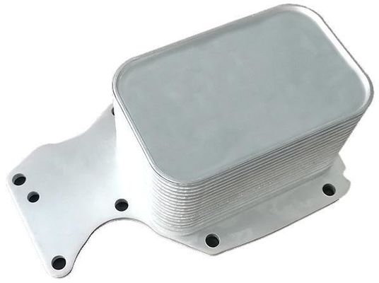 11428574005 Bộ phận động cơ BMW Máy làm mát dầu