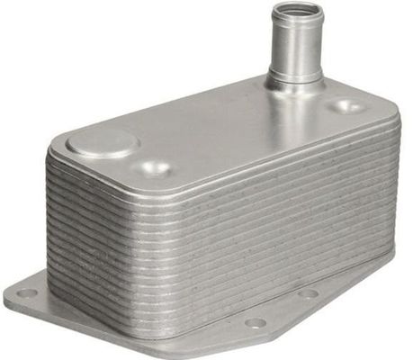 11427787698 Bộ phận động cơ BMW dầu làm mát cho