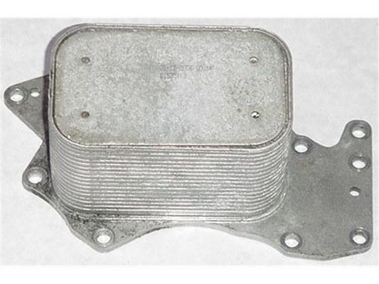 059117021J Các bộ phận động cơ Máy làm mát dầu