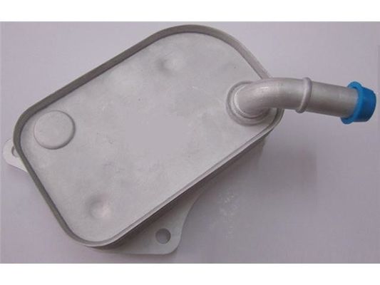 06B117021 Bộ phận động cơ Máy làm mát dầu