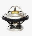 Mercedes BUS 6062030575 B Các bộ phận động cơ Nhiệt độ 65°C